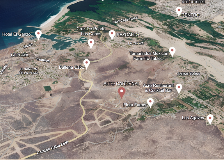 Map showing Alto Cardenal near Flora Farms and San José del Cabo